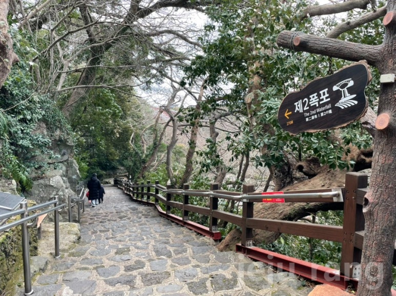 Cheonjeyeon Falls  2 Jeju Island