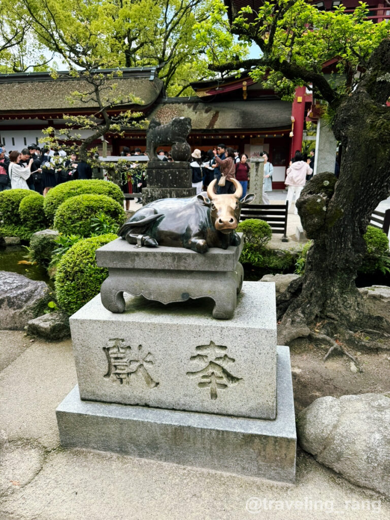 Dazaifu Tenmangu 19