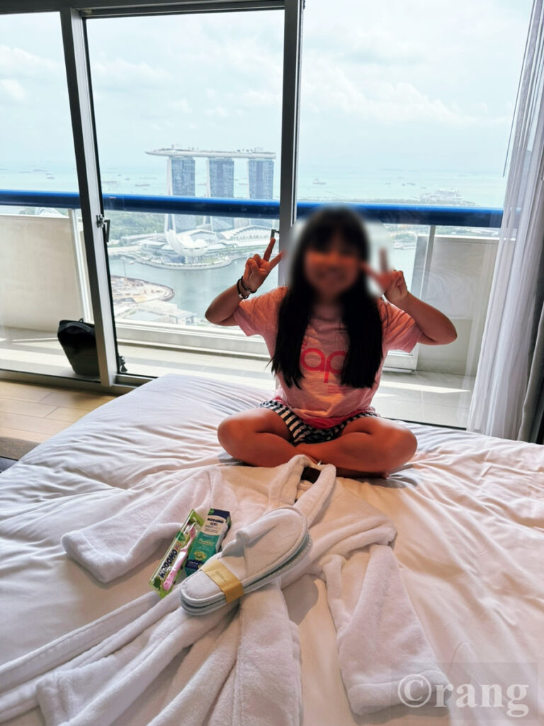 Swissotel The Stamford Singapore kids