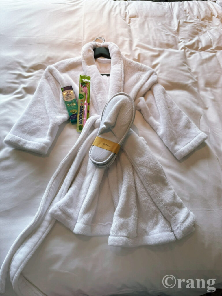 Swissotel The Stamford Singapore kids