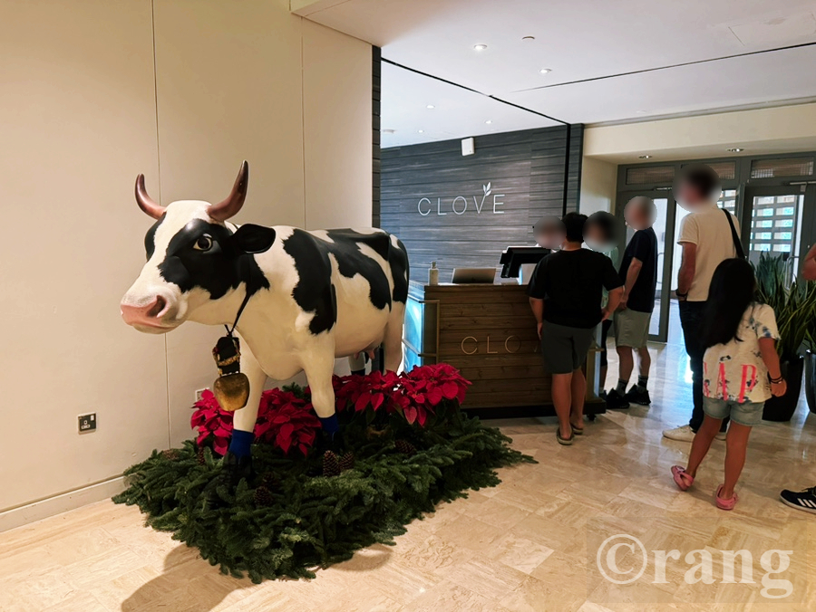 Swissotel The Stamford clove
