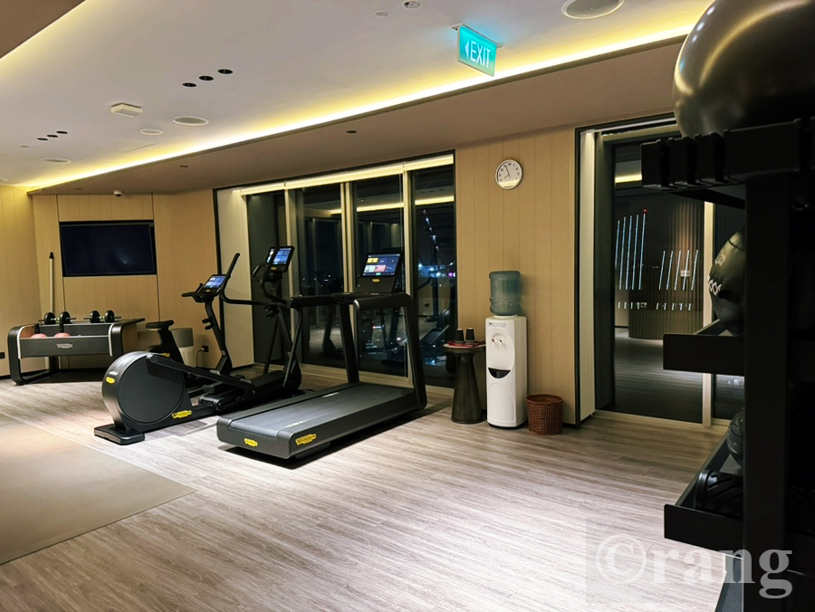 Swissotel The Stamford gym