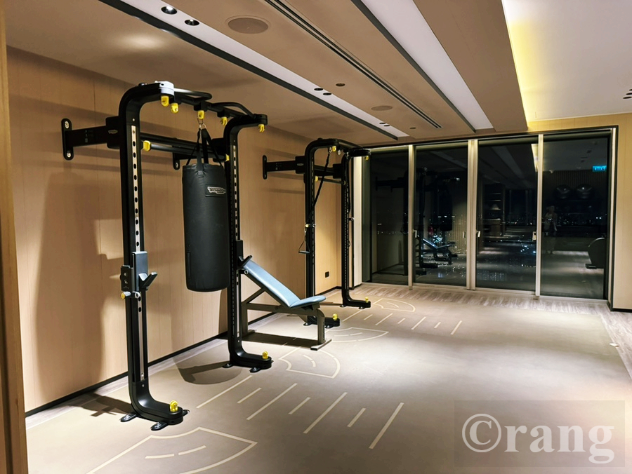 Swissotel The Stamford gym