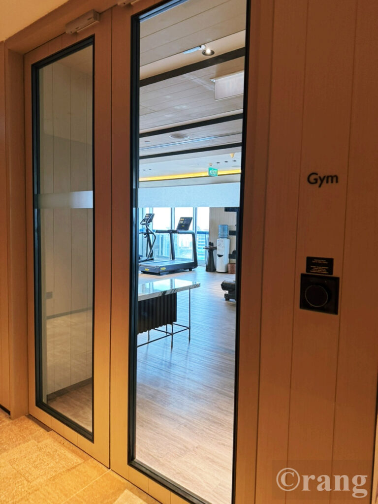 Swissotel The Stamford Facilities Gym