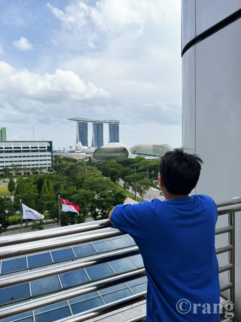 Swissotel The Stamford pool view