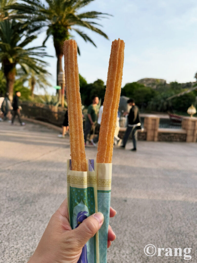 Tokyo Disney sea Churros