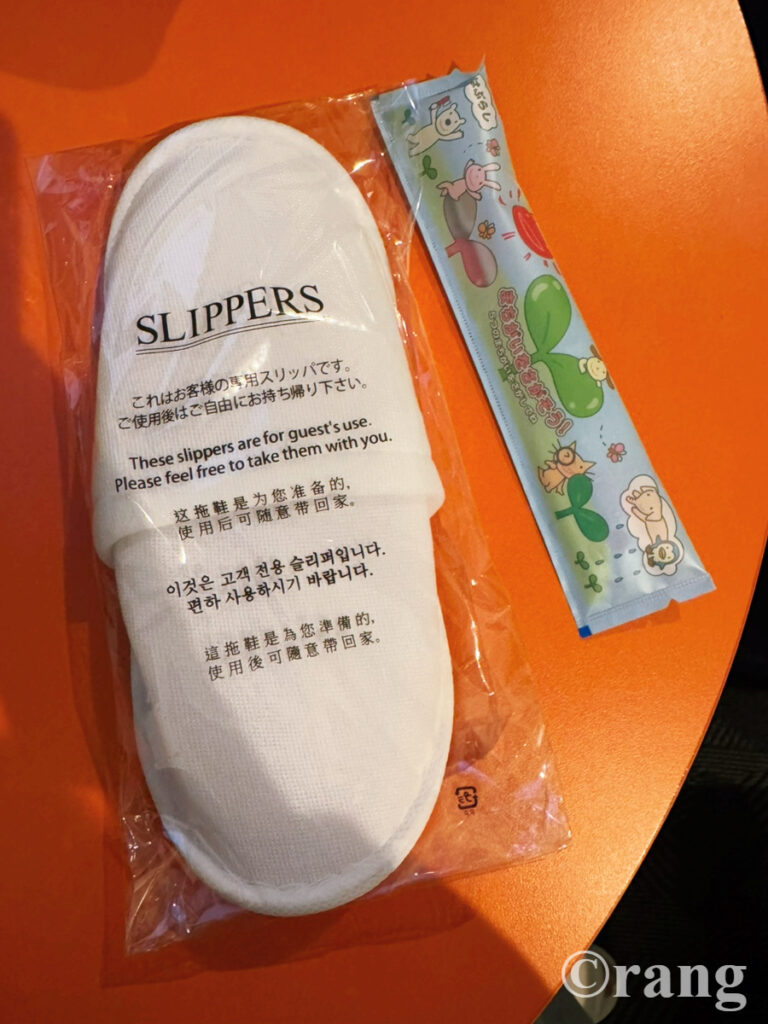 ibis Styles Tokyo Bay 12