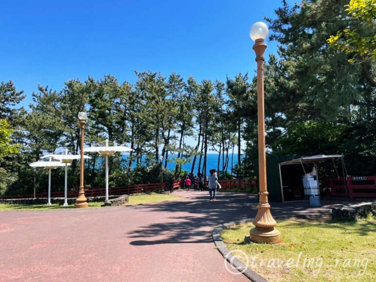 jusangjeolli Cliff Jeju10