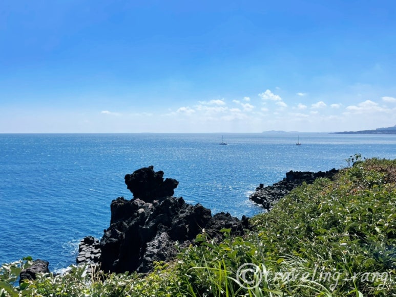 jusangjeolli Cliff Jeju