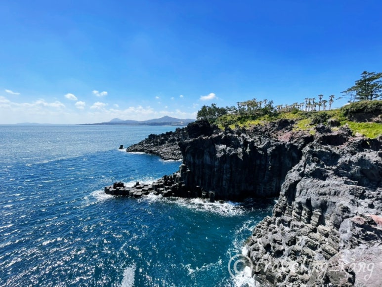 jusangjeolli Cliff Jeju