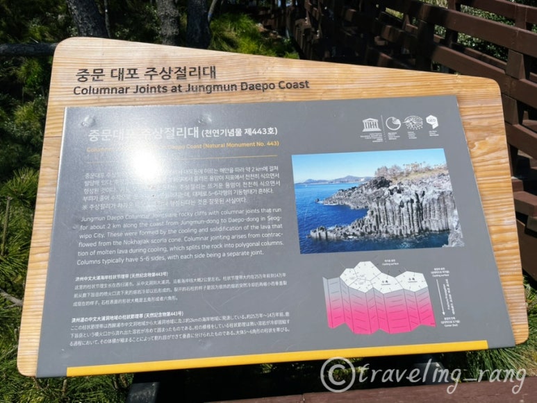 jusangjeolli Cliff Jeju6