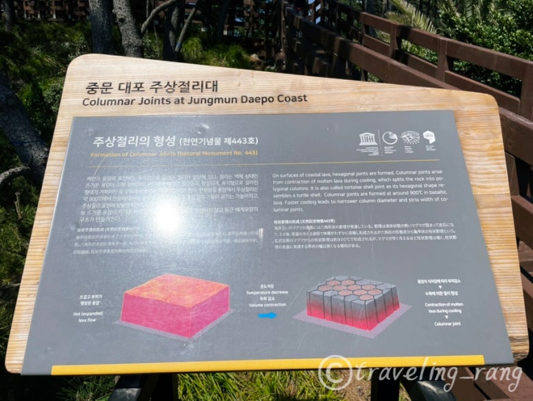 jusangjeolli Cliff Jeju7
