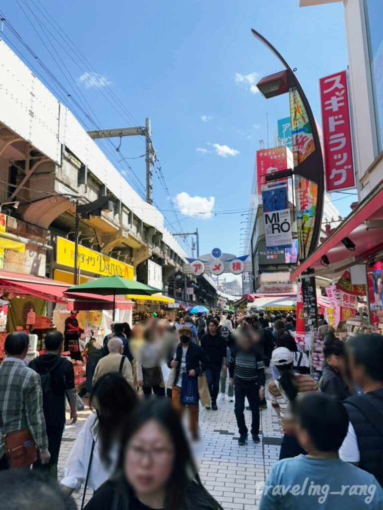 Ameyoko Market Tokyo street food stalls near Ueno Station