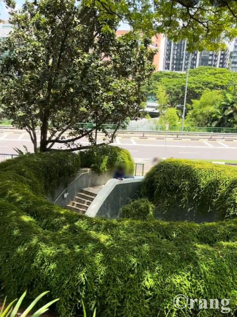 Fort Canning Tree Tunnel entrance