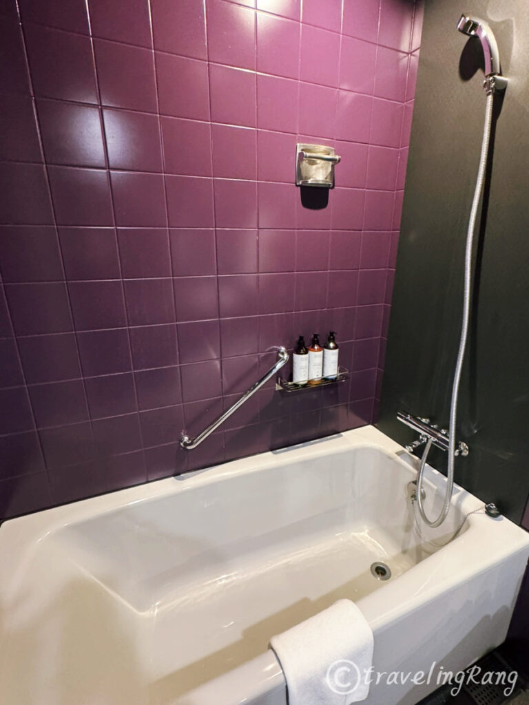 Mercure Tokyo Hibiya room9