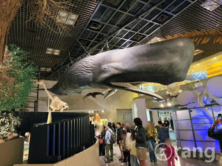National Museum of Nature and Science Tokyo: A Rainy Day Win in Ueno