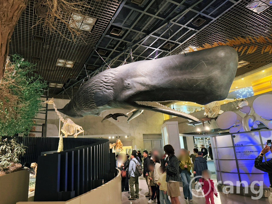 National Museum of Nature and Science Tokyo: A Rainy Day Win in Ueno