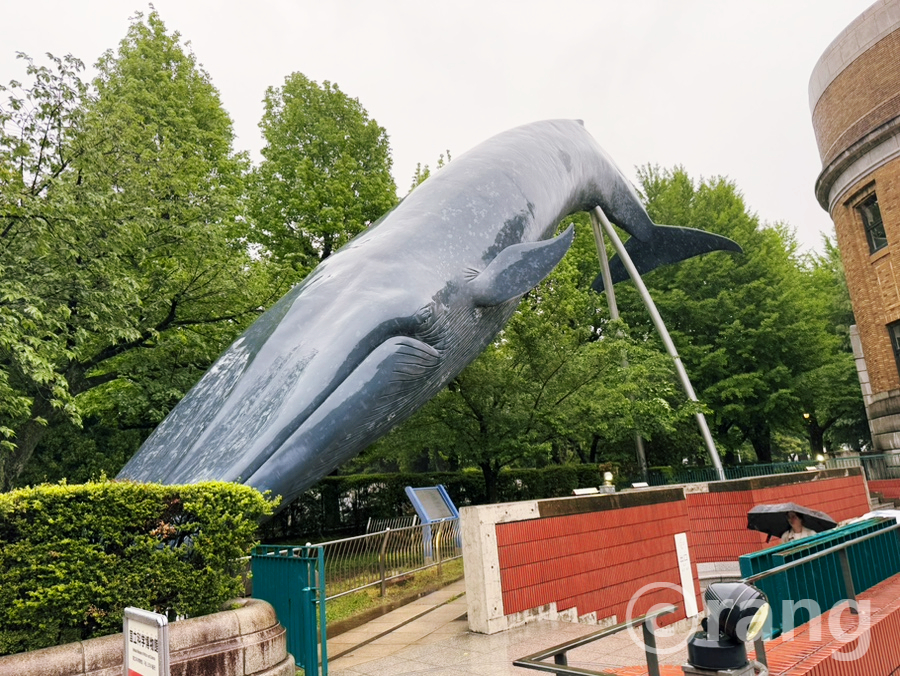 National Museum of Nature and Science Tokyo15