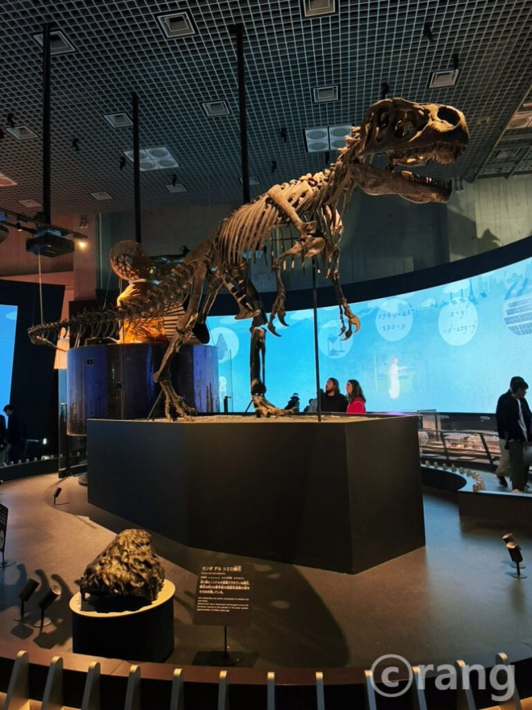 Global Gallery dinosaur exhibit