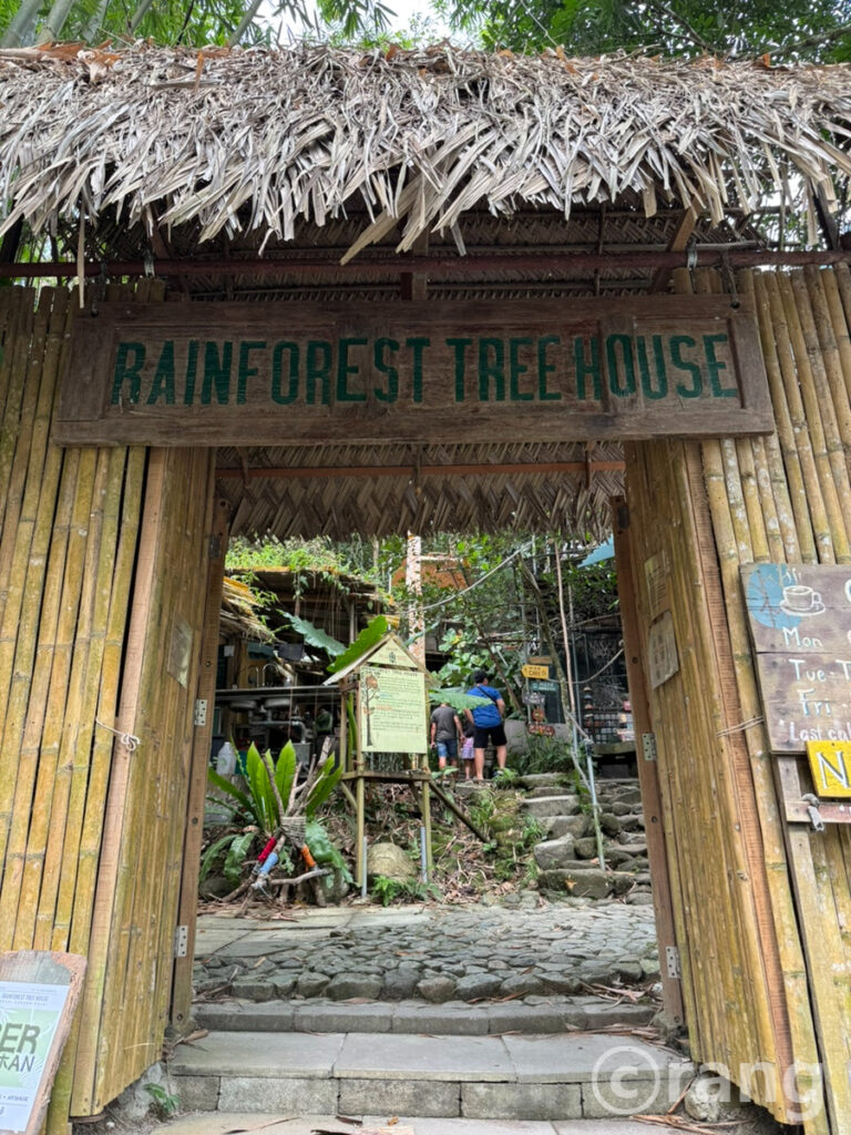 Rainforest Tree House