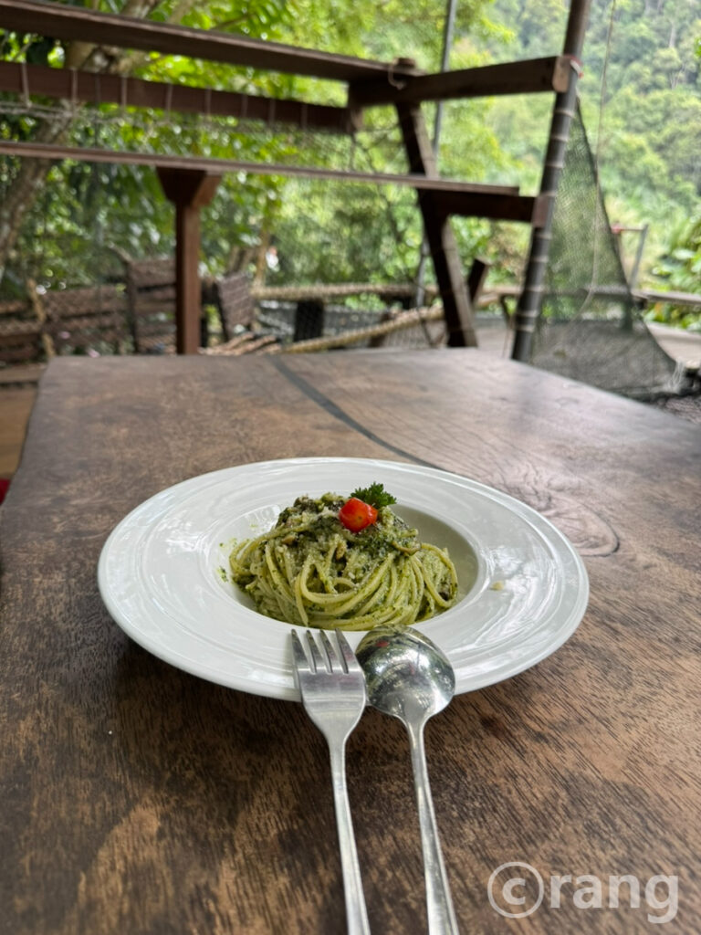 Rainforest Tree House14