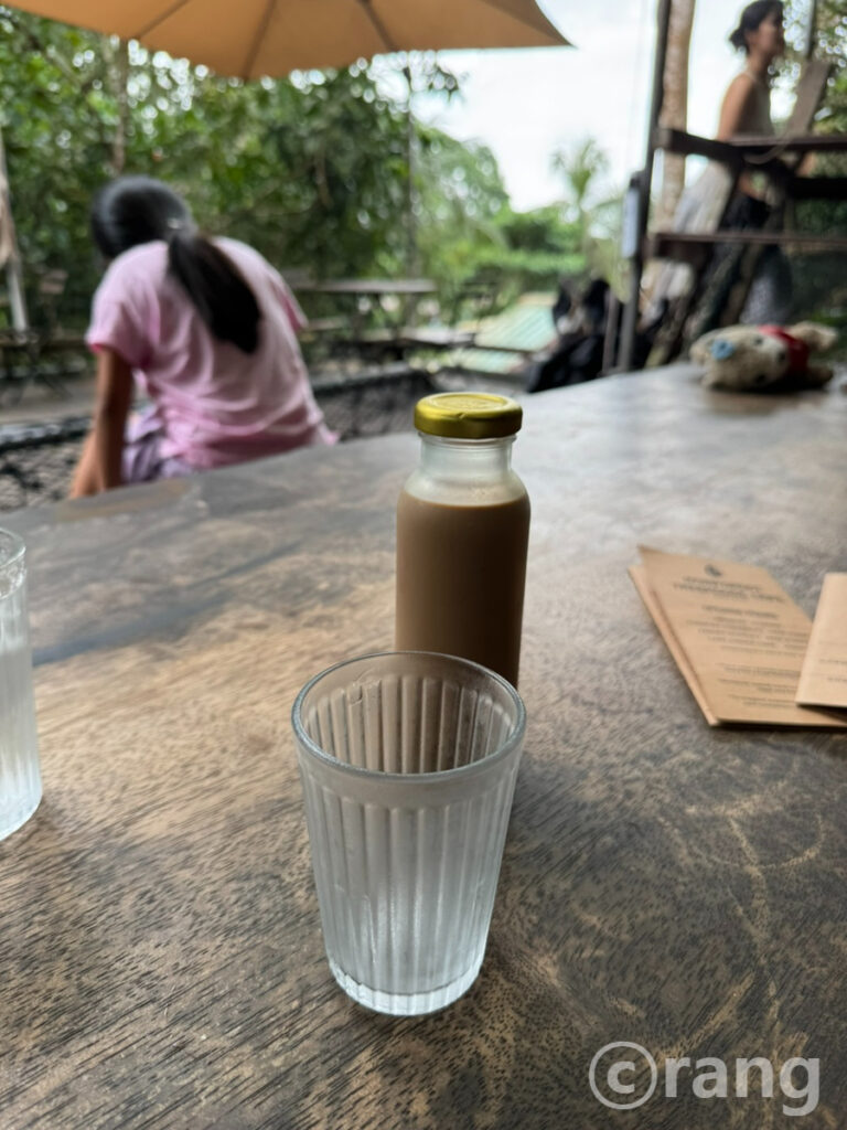 Rainforest Tree House15