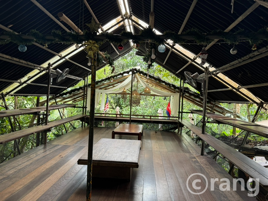 Rainforest Tree House, Kulai: A Johor Bahru Cafe That Feels Like Another World