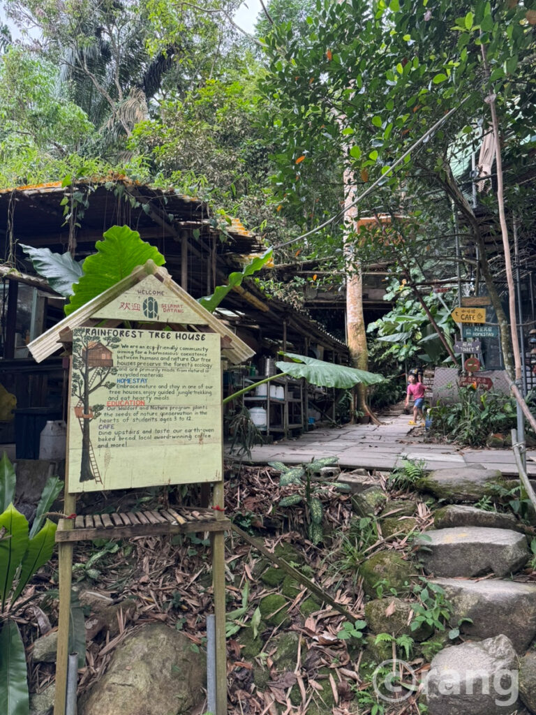 Rainforest Tree House1