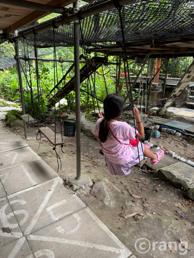 Rainforest Tree House play