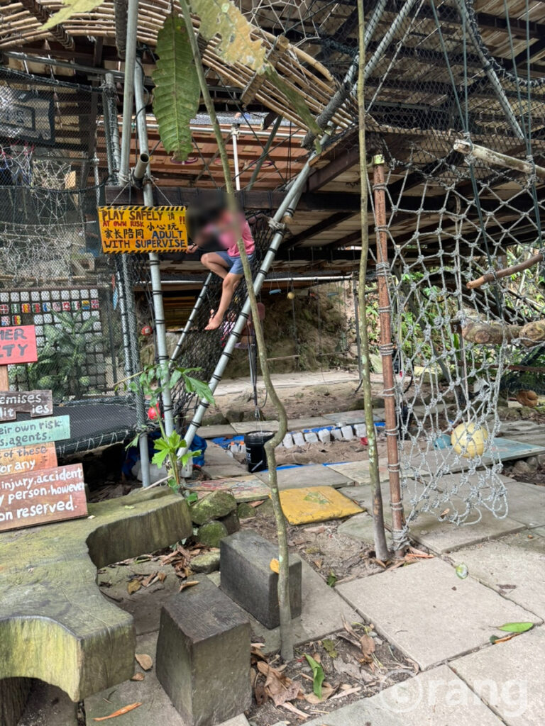 Rainforest Tree House play