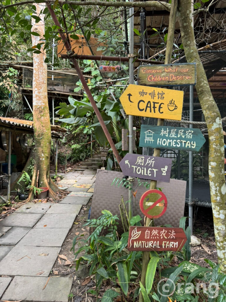 Rainforest Tree House4