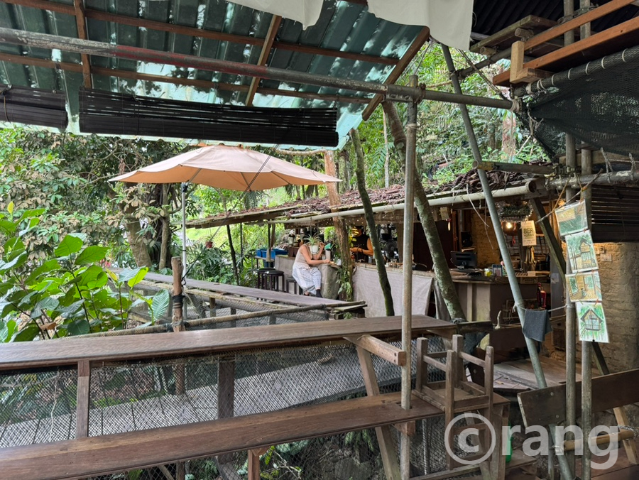 Rainforest Tree House, Kulai: A Johor Bahru Cafe That Feels Like Another World