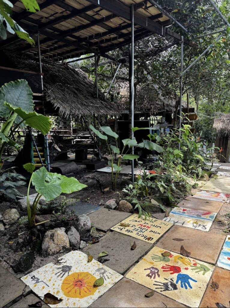 Rainforest Tree House8