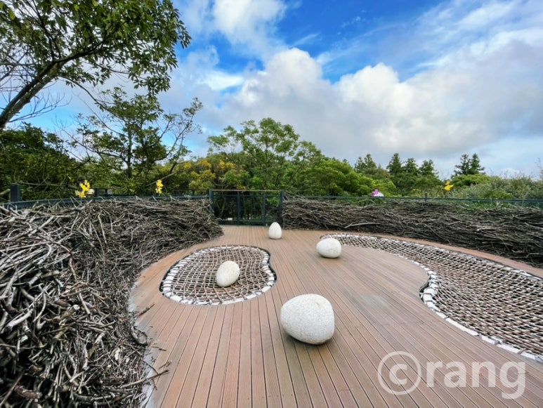 Snoopy Garden 5