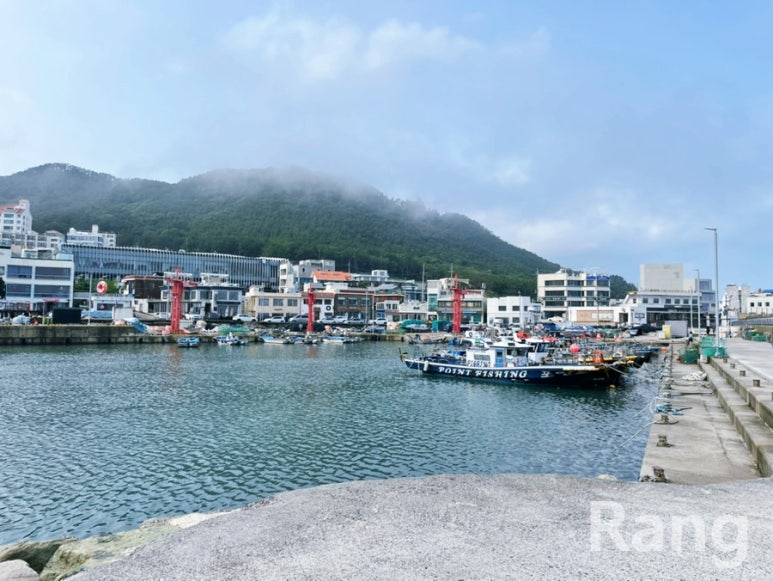 Cheongsapo2